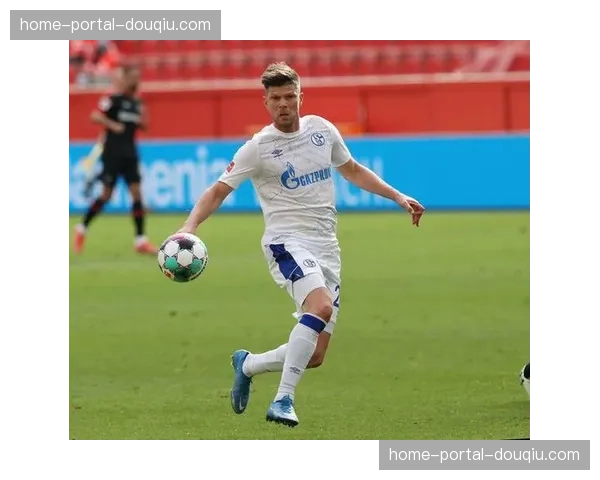 专访沙尔克04商业总监：谈降级后俱乐部媒体收入的结构性调整